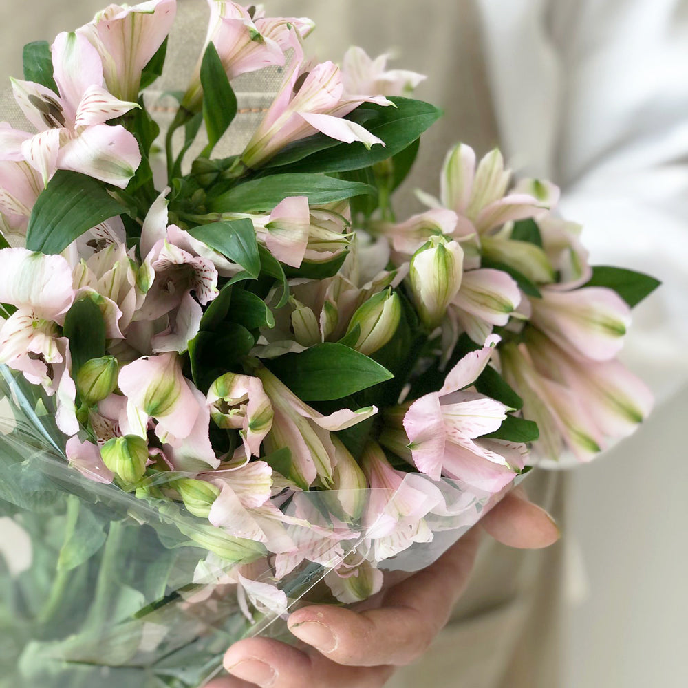 10 Alstroemeria Pink - الستروميريا وردي