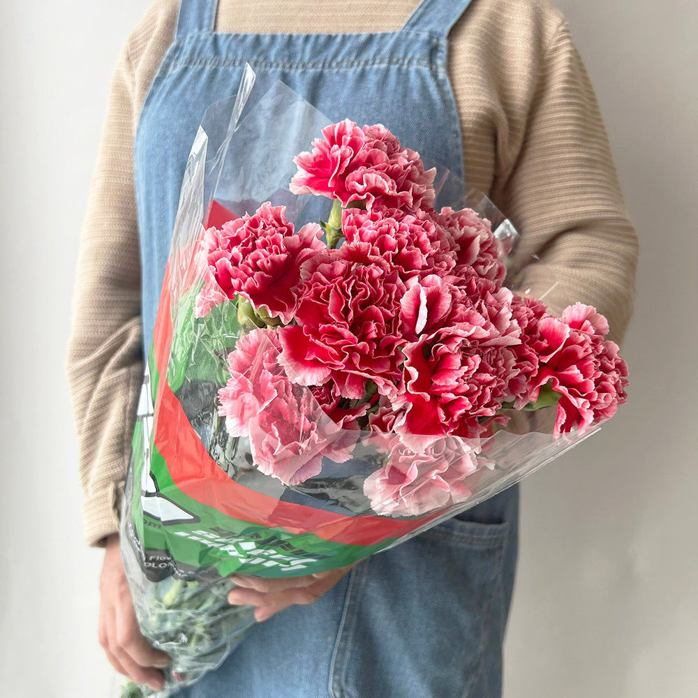 20 Carnation Red DC - قرنفل أحمر بلونين