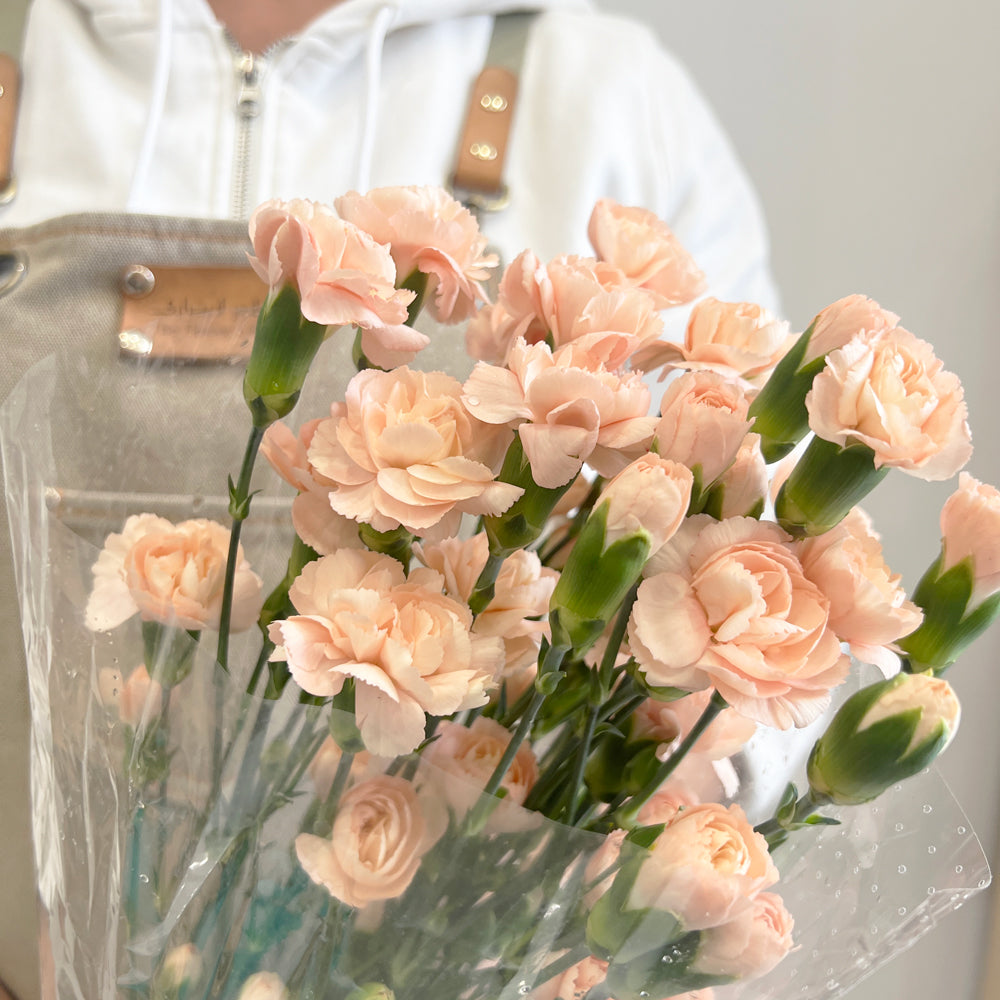 10 Spray Carnation Peach - قرنفل صغير مشمشي