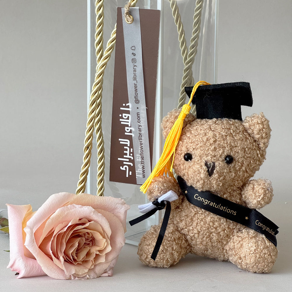 Grad Teddy Box