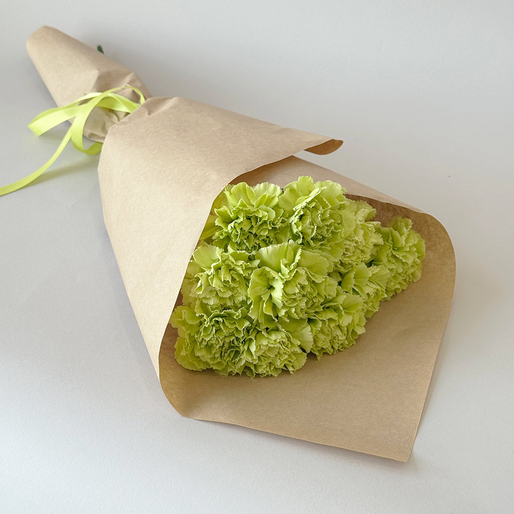 Simply Carnations - Green