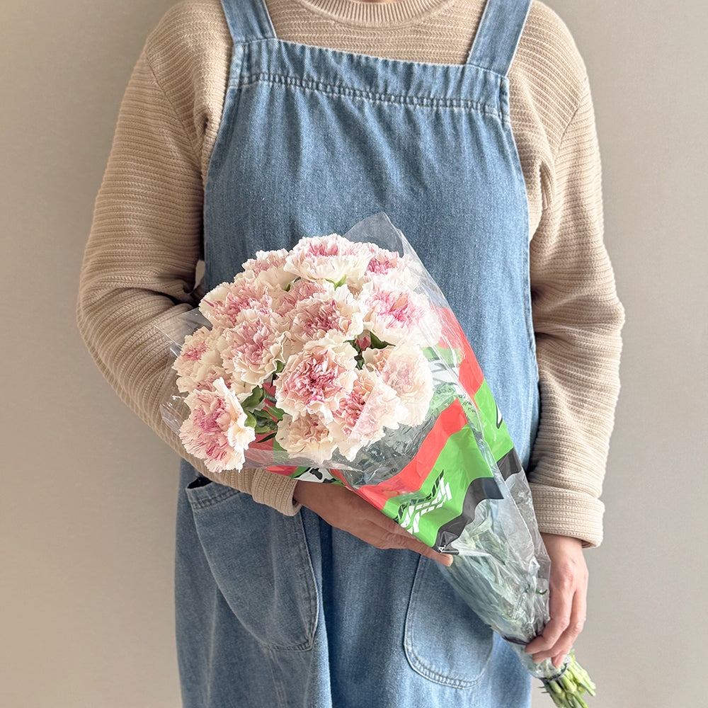 10 Carnation pink Edges - قرنفل وردي وأبيض