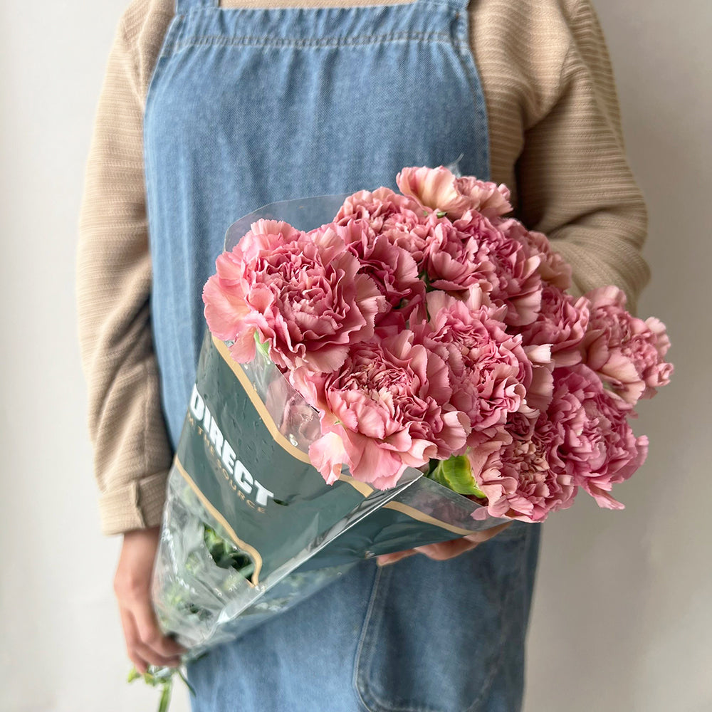 20 Carnation Rouge - قرنفل روج