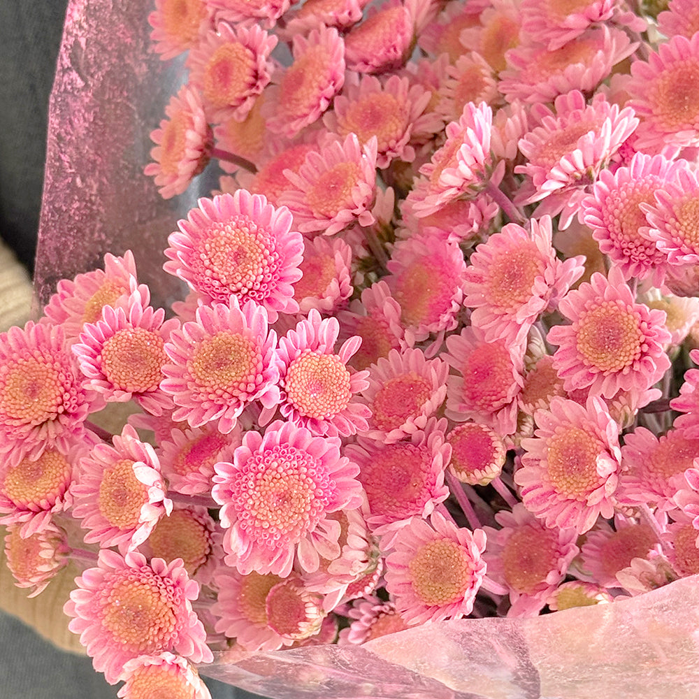 Glittery chrys pink - أقحوان صغير لماع وردي