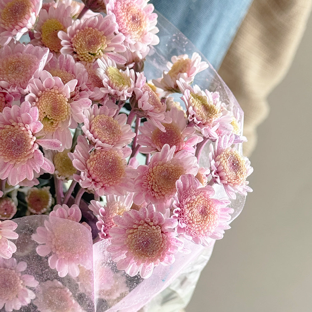 Glittery chrys pastel - أقحوان صغير لماع باستيل