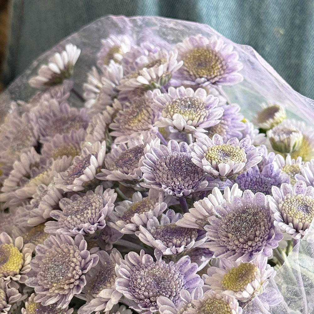 Glittery chrys purple - أقحوان صغير لماع بنفسجي