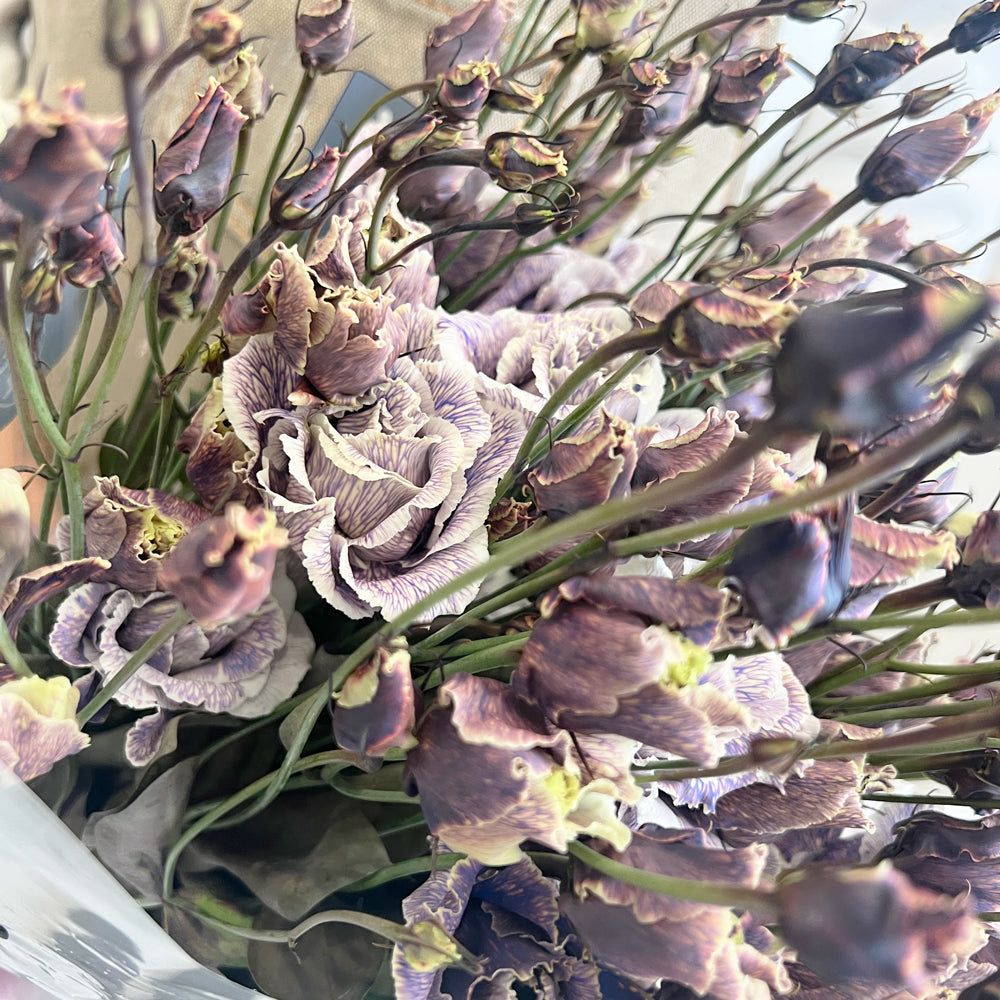 Wholesale Lisianthus - Double Purple