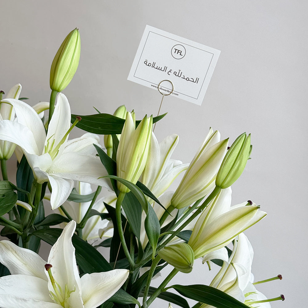 Liberty Lily - Welcome back