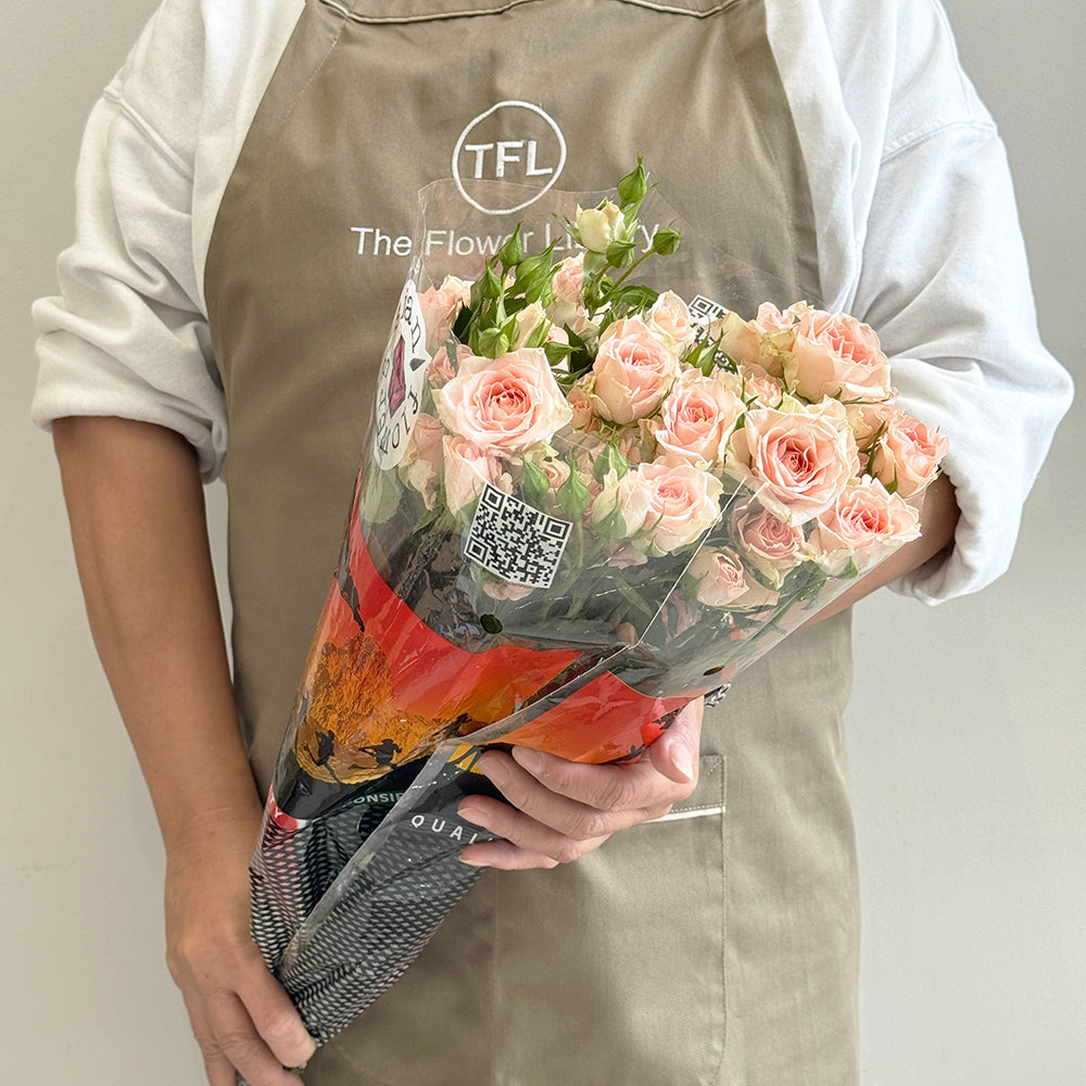 10 Peach Baby Roses - جوري صغير مشمشي