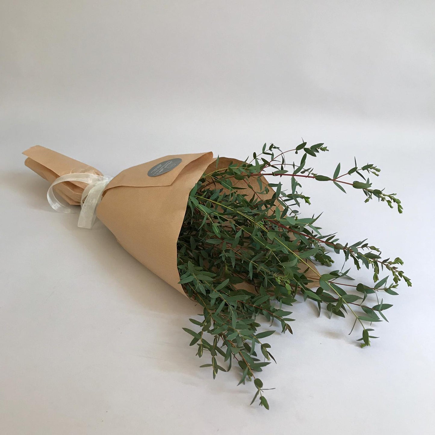 Simply Green- More Options Available
