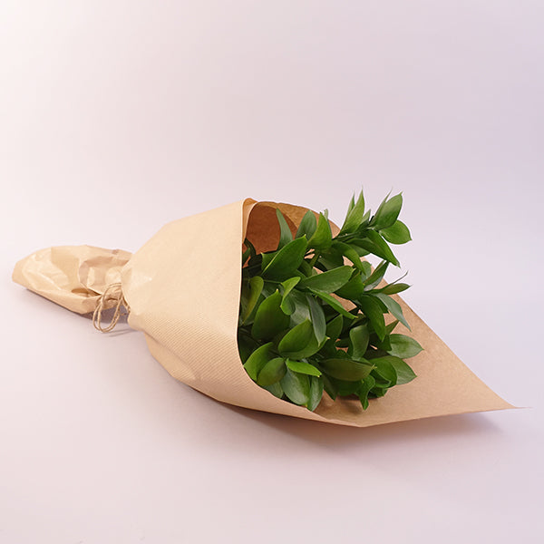 Simply Green- More Options Available
