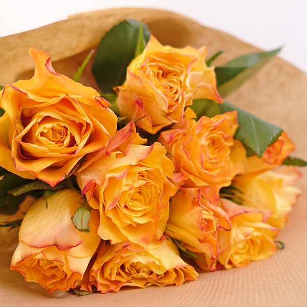 Simply Roses - More Colors Available