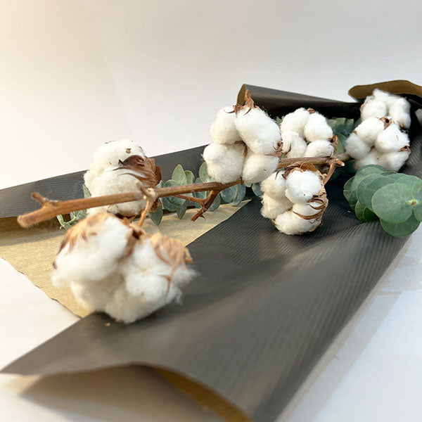 Cotton Bouquet I
