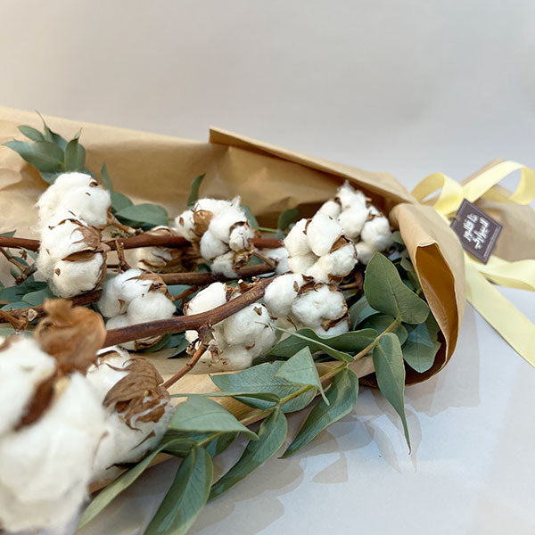 Cotton Bouquet III
