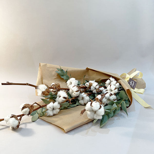 Cotton Bouquet III