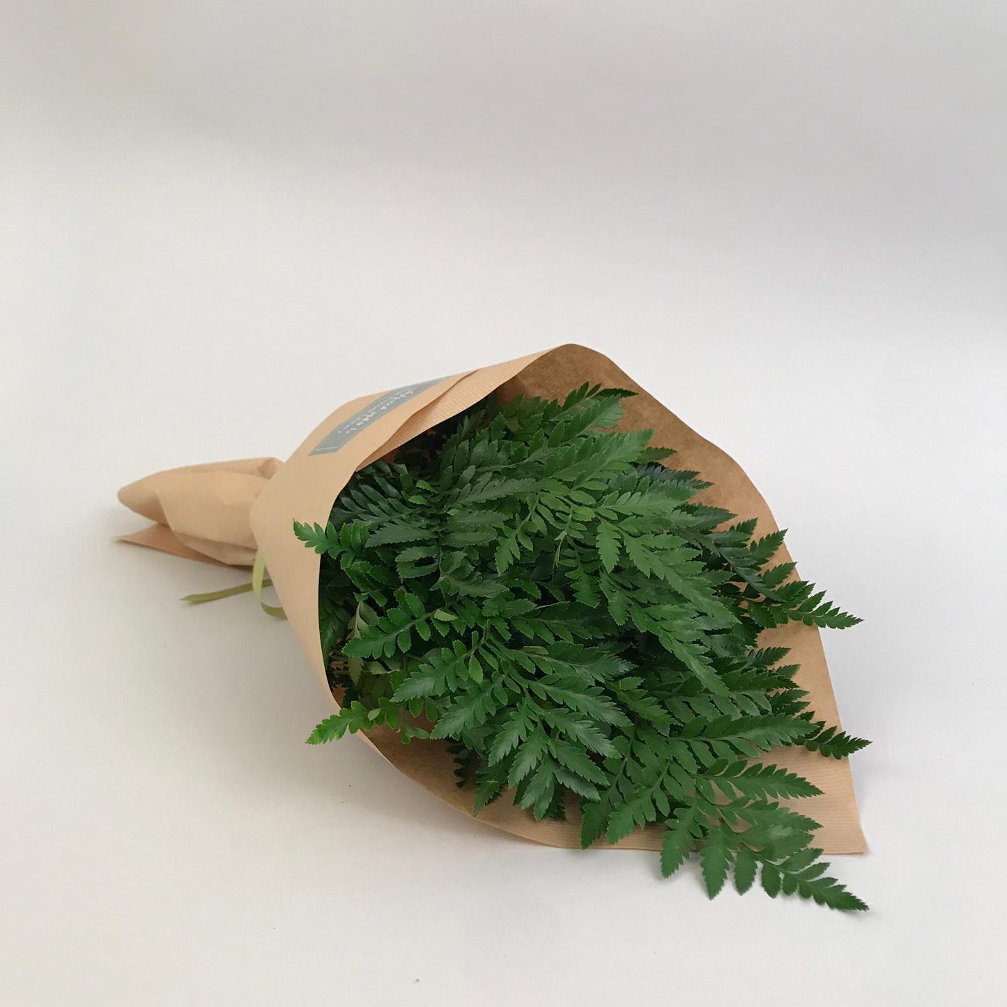 Simply Green- More Options Available