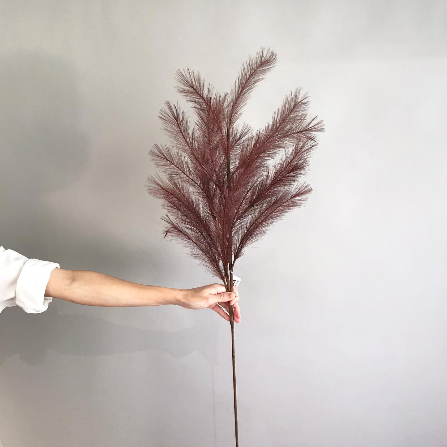 Dyed Feather