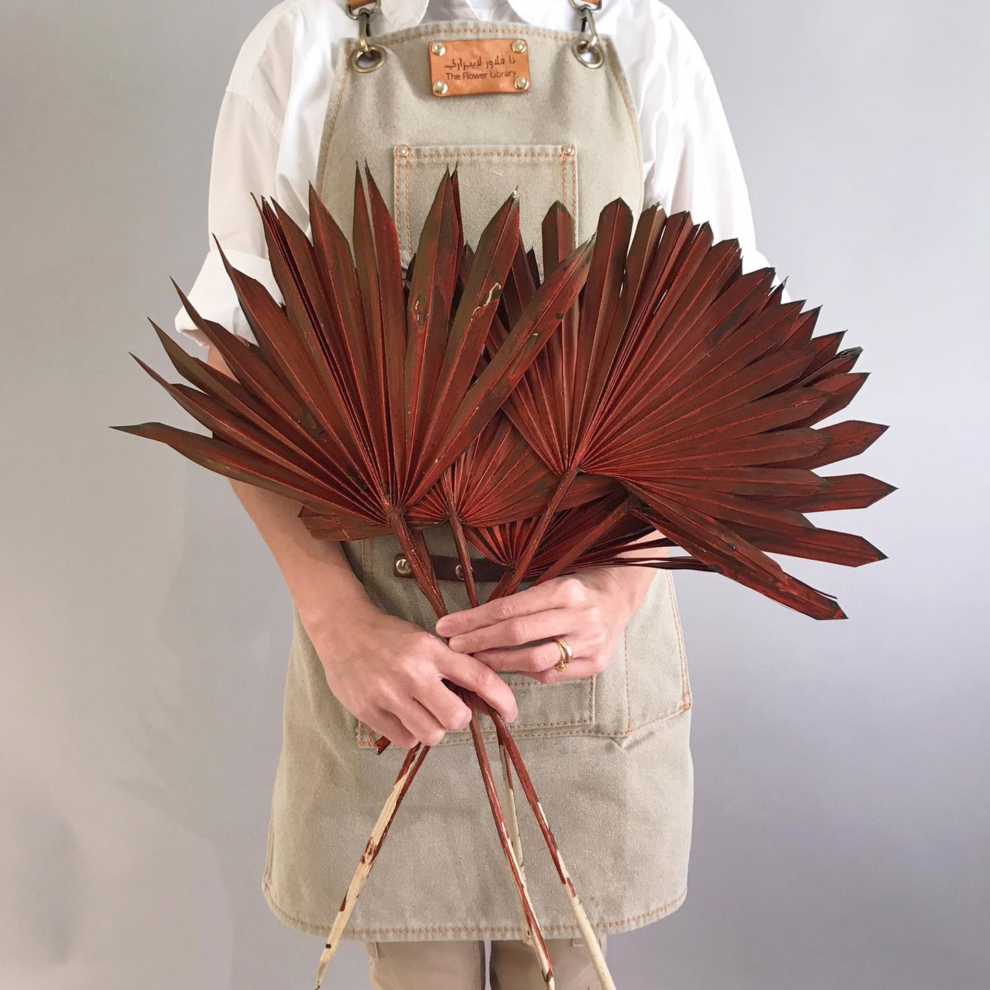 Plam Leaves