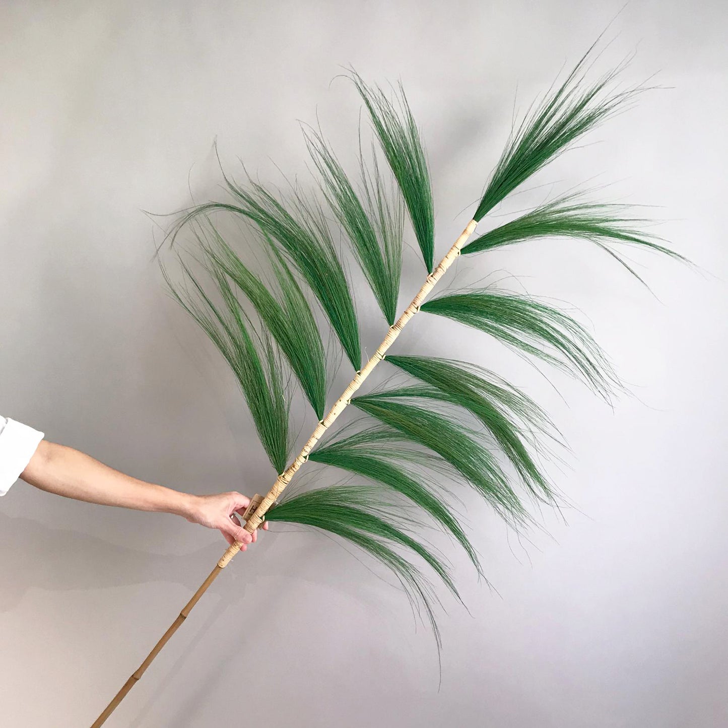 Bamboo Plam Leaf