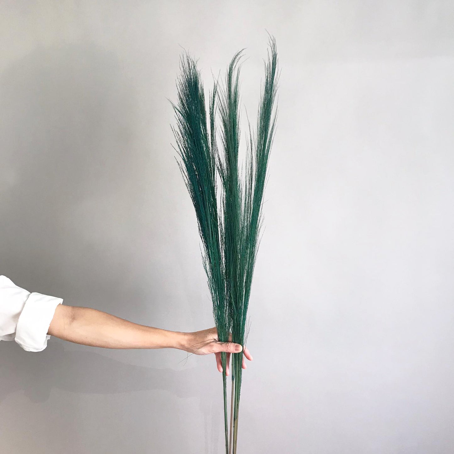 Hossu Grass