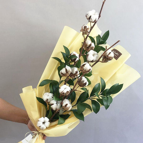 Cotton Bouquet II