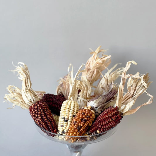 Dried Corn