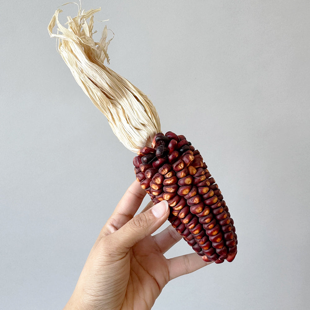 Dried Corn