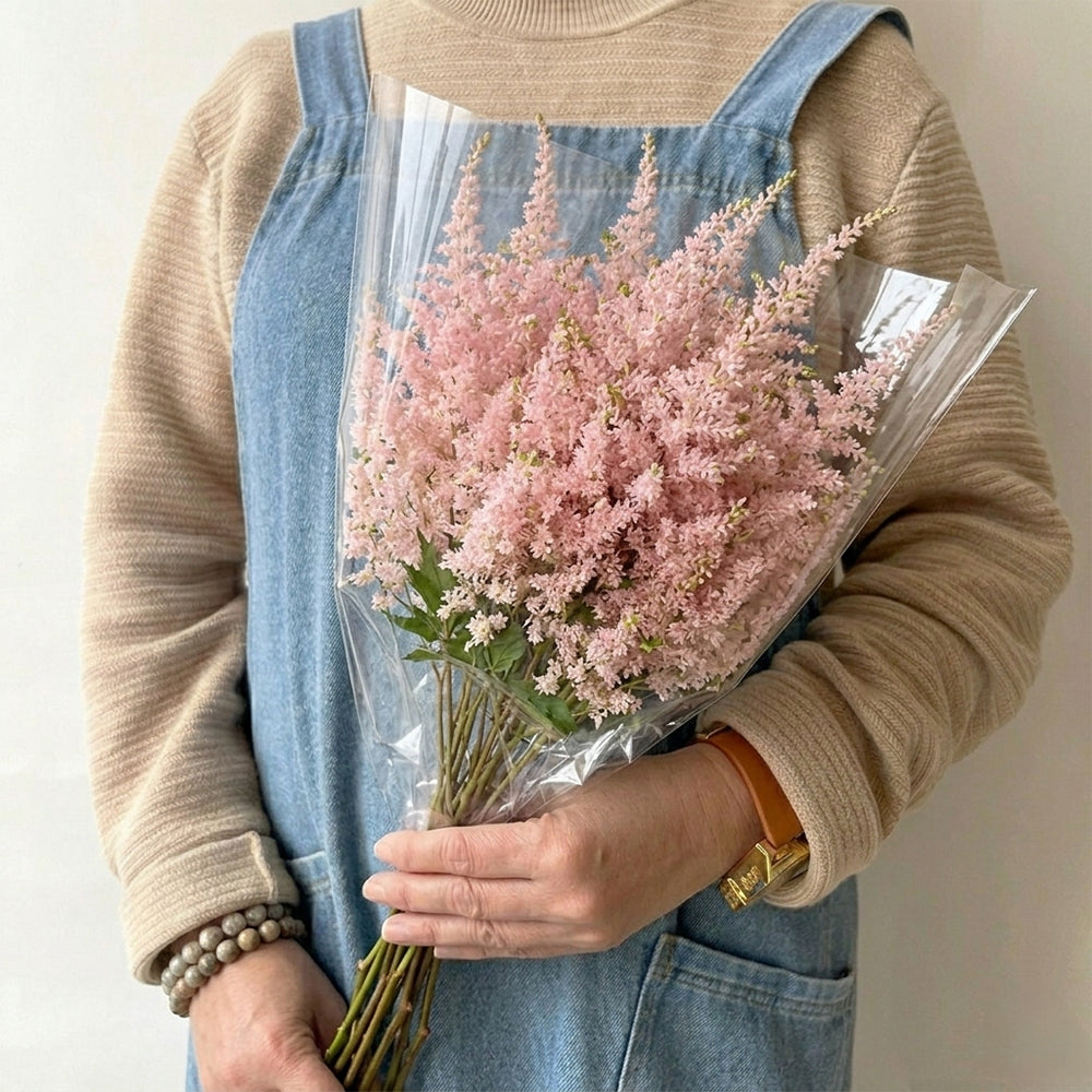10 Astilbe pink - استلبي وردي