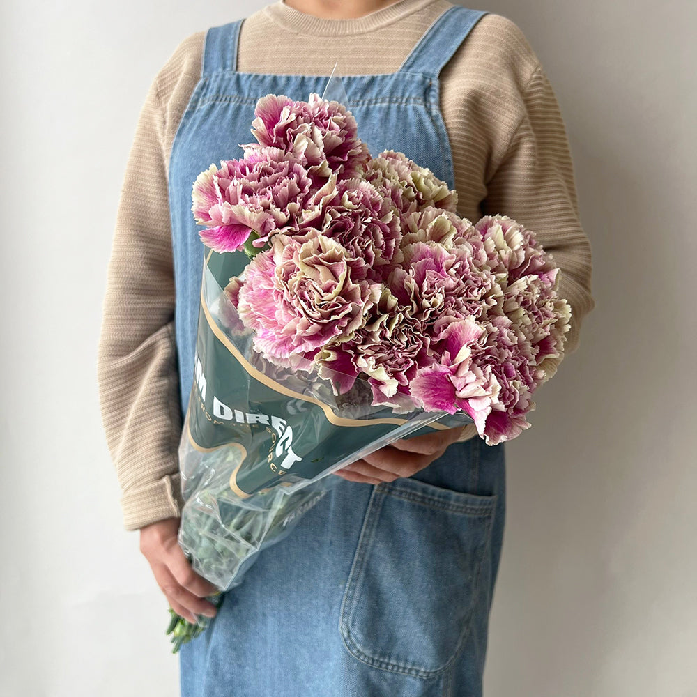 20 Carnation Purple DC -  قرنفل بنفسجي بلونين