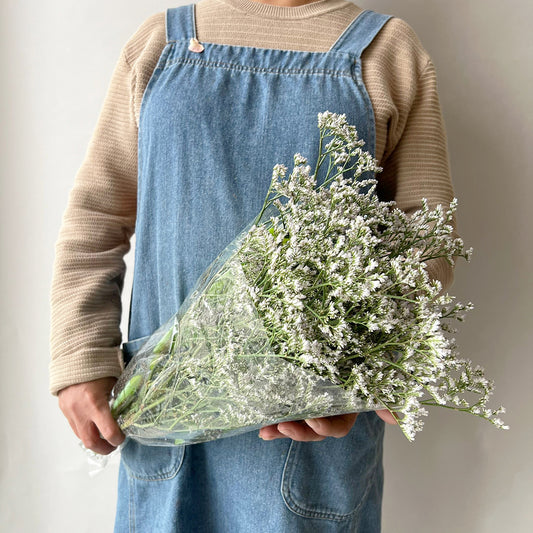 10 Limonium - ليمونيوم
