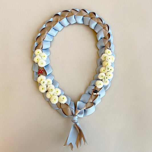 A+ Lei