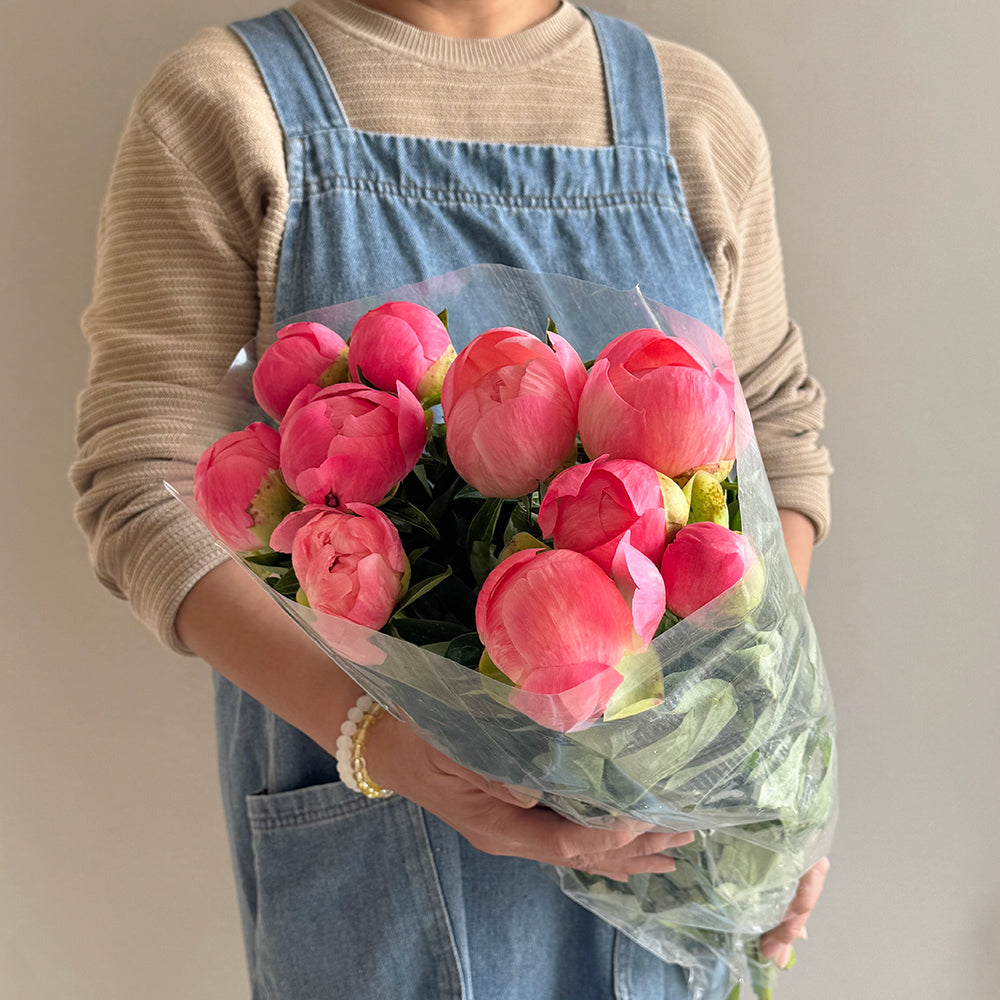 10 Peony coral - بيوني مرجاني