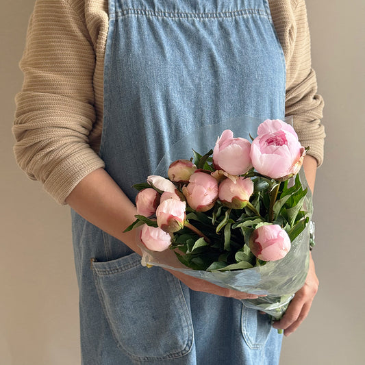 10 Peony pink - بيوني وردي