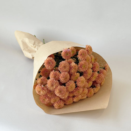 Simply Buttons - Apricot