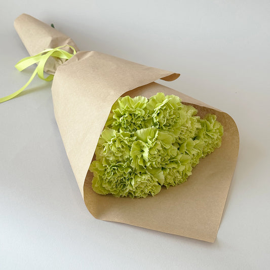 Simply Carnations - Green