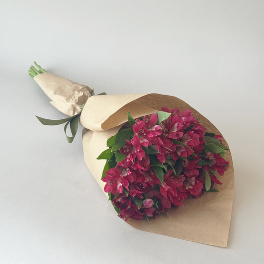 Simply Alstroemeria - Red