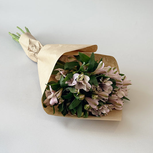 Simply Alstroemeria - Pink
