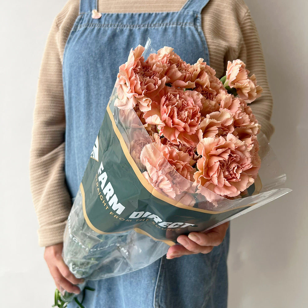20 Carnation Salmon -  قرنفل سلمون