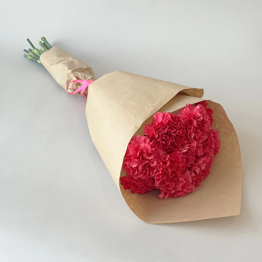 Simply Carnations - Fuchsia