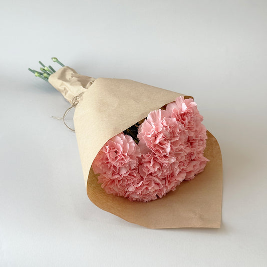 Simply Carnations - Pink