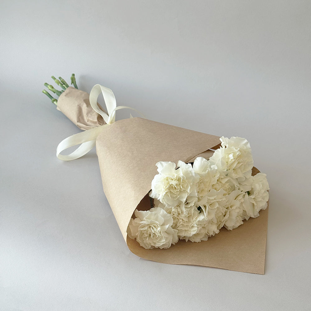 Simply Carnations - White
