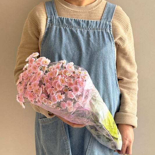 Glittery chrys pastel - أقحوان صغير لماع باستيل