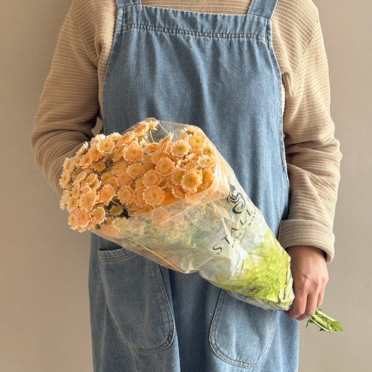 Glittery chrys peach - أقحوان صغير لماع مشمشي