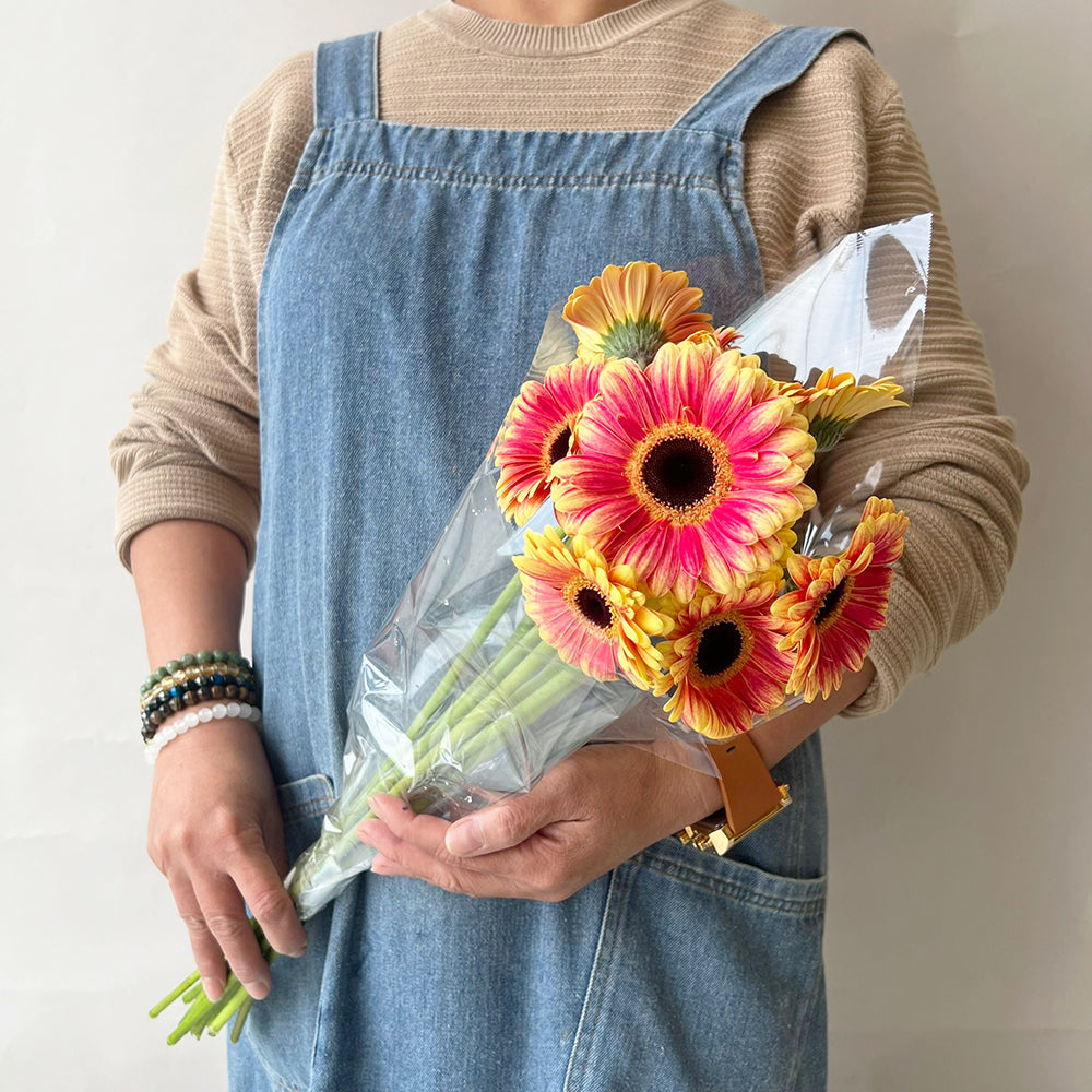 10 Gerbera DC جيربرا بلونين