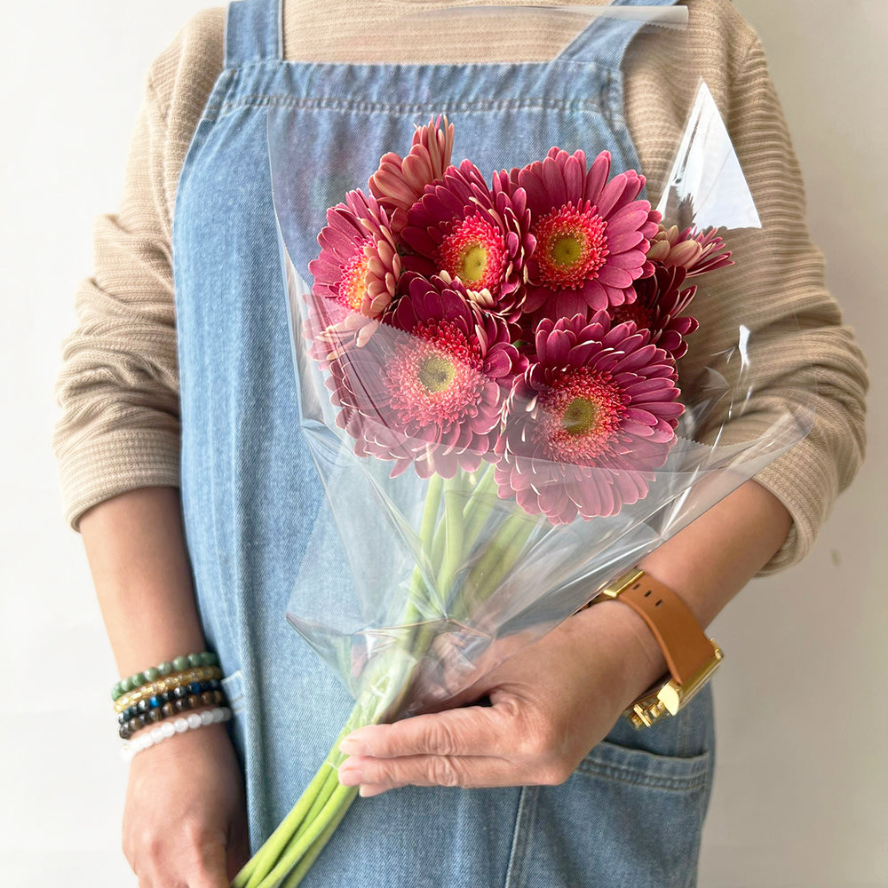 10 Gerbera Blueberry جيربرا بلوبيري