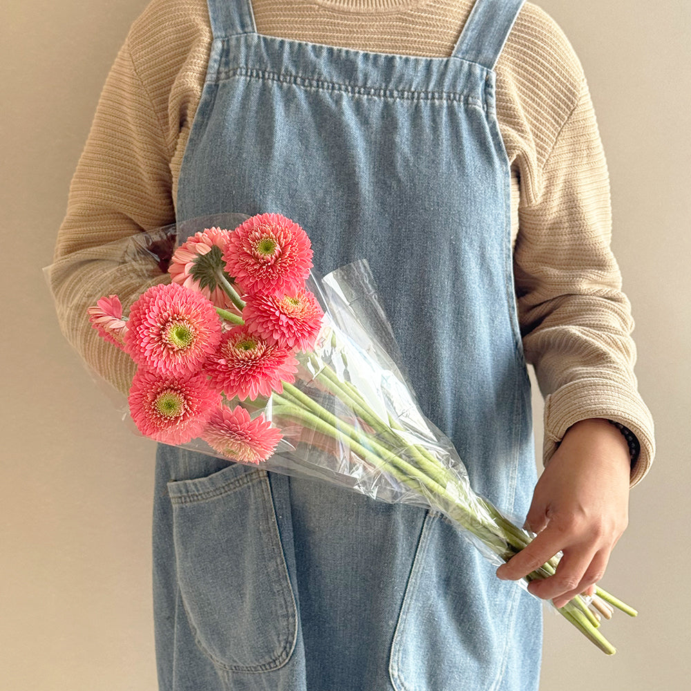 10 Gerbera coral - جيربرا مرجاني