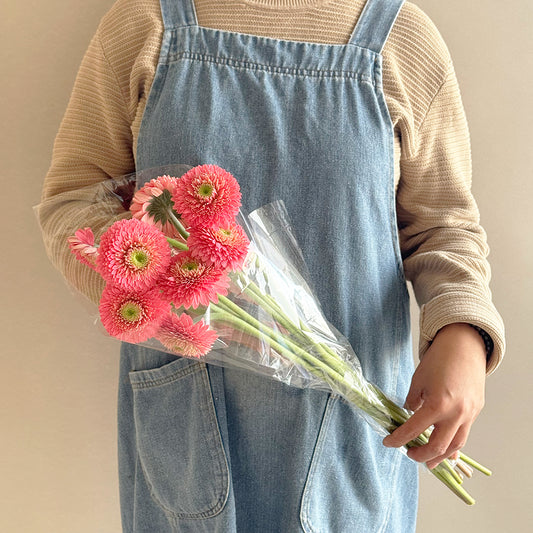 10 Gerbera coral - جيربرا مرجاني