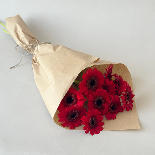 Simply Gerbera - Red