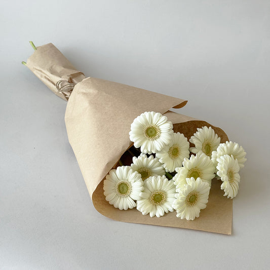 Simply Gerbera - White