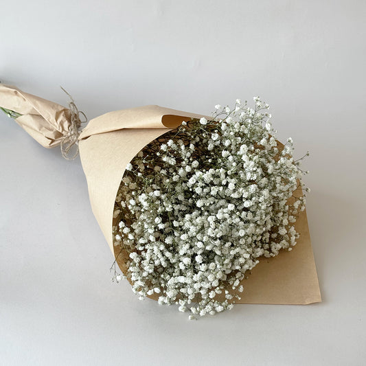 Simply Gypsophila